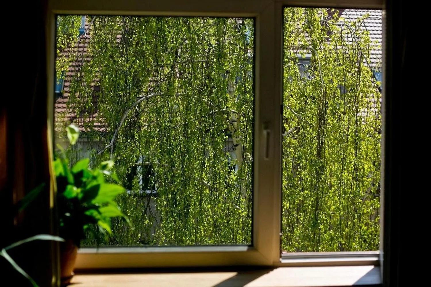 Leveloft - Przestronny, Stylowy Apartament Na Zielonej Ulicy W Centrum Wroclaw Apartment
